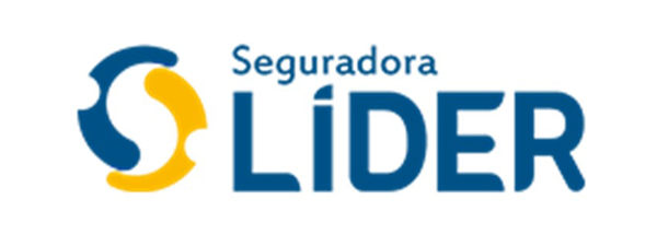 logo__0006_lider