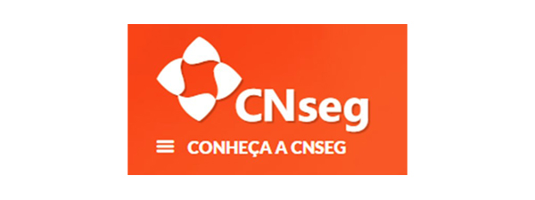 logo__0023_cnseg